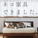 Cat nap.